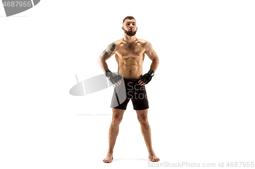 Image of professional fighter boxing isolated on white studio background