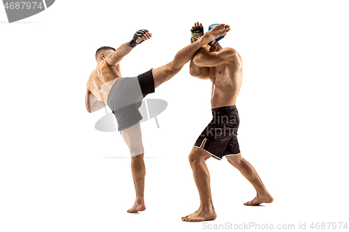 Image of Two professional boxers boxing isolated on white studio background