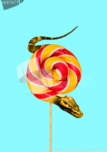 Image of Contemporary art collage. Snake and candy