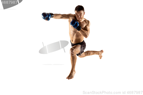 Image of professional fighter boxing isolated on white studio background