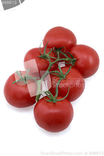 Image of Tomatoes on white background