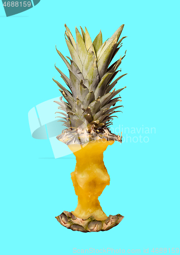 Image of An alternative pineapple. Modern design. Contemporary art collage.