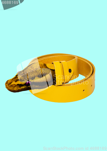 Image of A genuine leather belt. Modern design. Contemporary art collage.