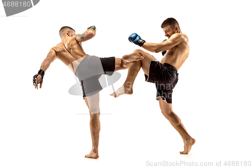 Image of Two professional boxers boxing isolated on white studio background