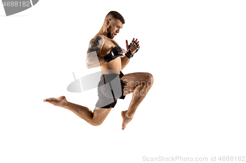 Image of professional fighter boxing isolated on white studio background