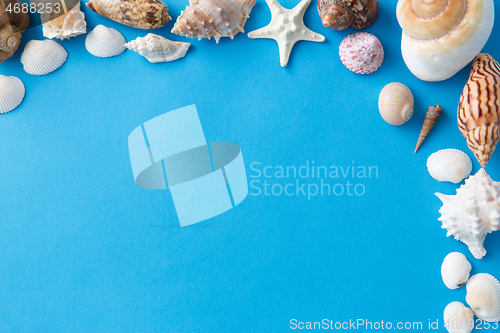 Image of frame of different sea shells on blue background