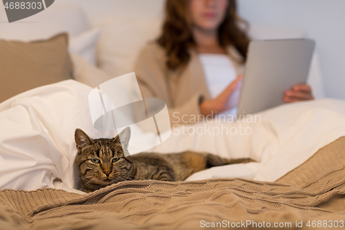 Image of tabby cat lying in bed with woman at home bedroom