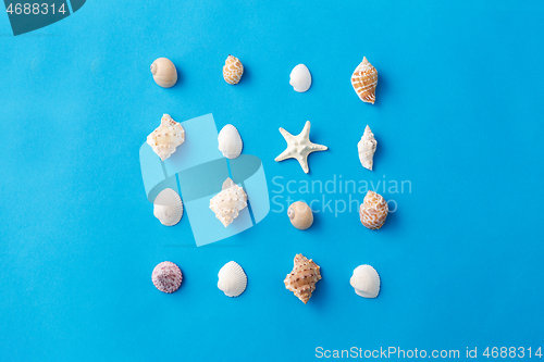 Image of different sea shells on blue background