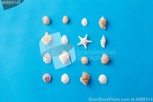 Image of different sea shells on blue background