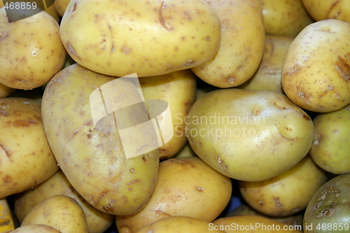 Image of potatoes