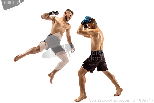 Image of Two professional boxers boxing isolated on white studio background