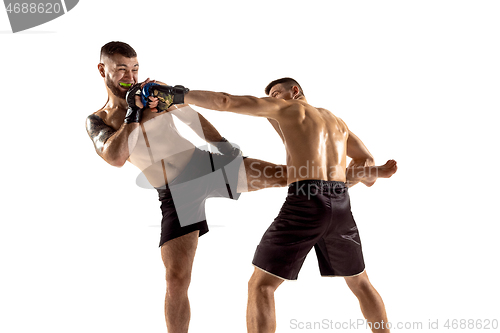 Image of Two professional boxers boxing isolated on white studio background