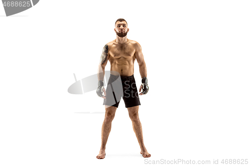 Image of professional fighter boxing isolated on white studio background