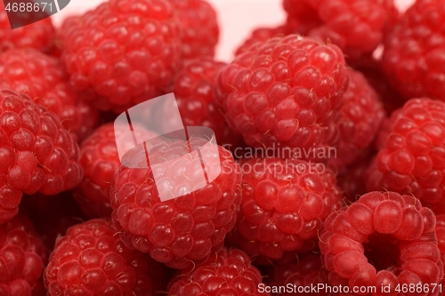 Image of large ripe fresh raspberry