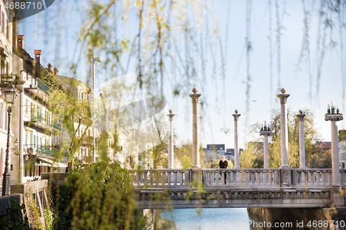 Image of Unique Plecnik arhitecture of Cobblers bridge seen trough willow branches in old medieval city center of Ljubljana, Slovenia