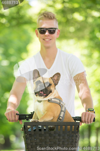 Image of French bulldog dog enjoying riding in bycicle basket in city park