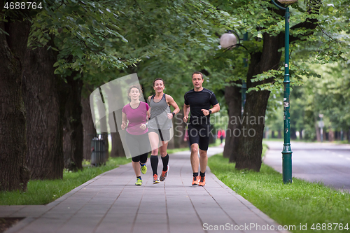 Image of runners team on morning training