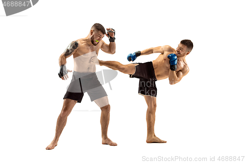 Image of Two professional boxers boxing isolated on white studio background