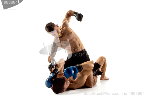 Image of Two professional boxers boxing isolated on white studio background