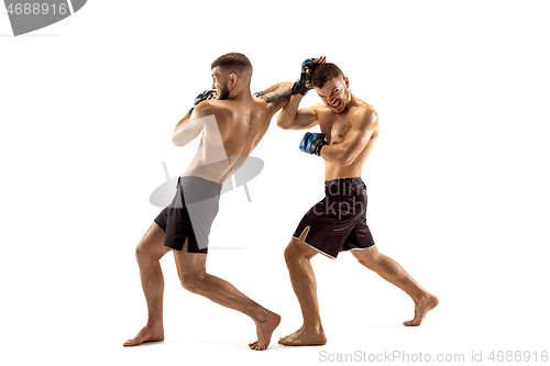 Image of Two professional boxers boxing isolated on white studio background