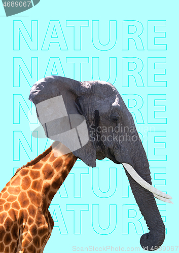 Image of Nature can be different. Modern design. Contemporary art collage.