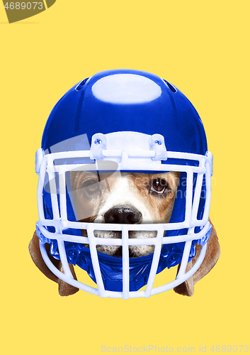 Image of Pets rights. Modern design. Contemporary art collage.