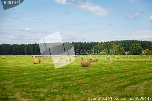 Image of green meadow with hay rolls