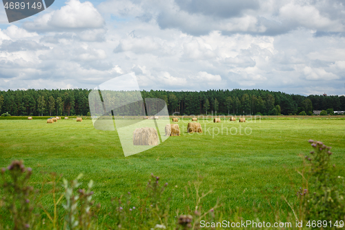 Image of green meadow with hay rolls