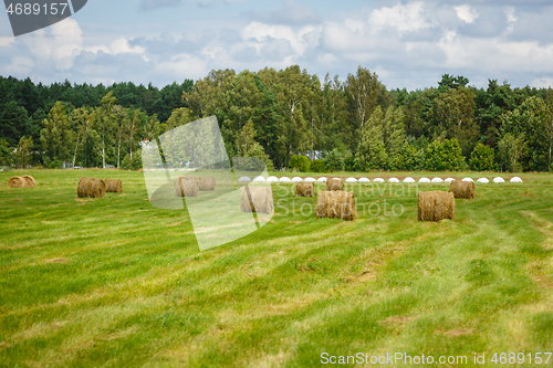 Image of green meadow with hay rolls