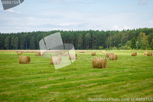 Image of green meadow with hay rolls