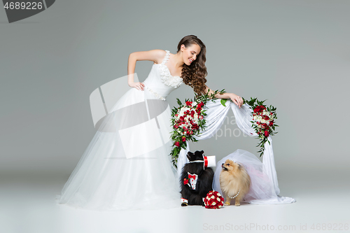 Image of bride girl with dog wedding couple under flower arch