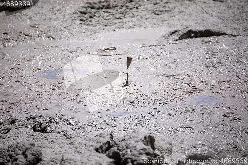 Image of volcanic activities at waimangu