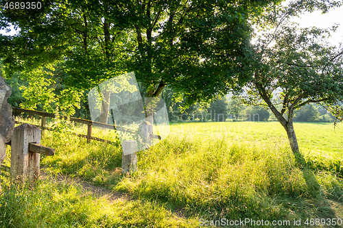 Image of rural scenery with sun light