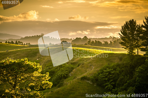 Image of sunset landscape New Zealand north island