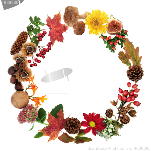 Image of Autumn Wreath 