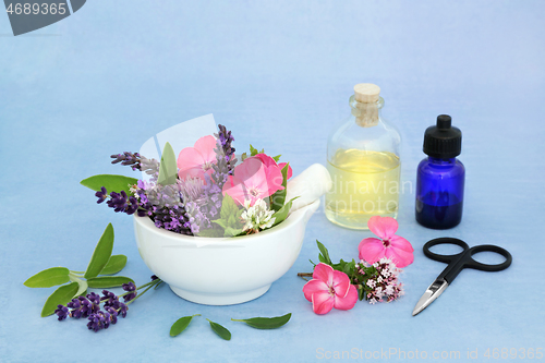 Image of Herbal Medicine Naturopathic Preparation