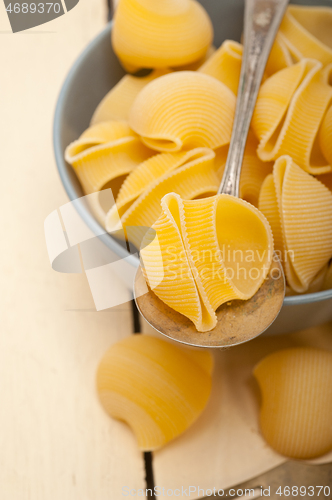 Image of Italian snail lumaconi pasta 