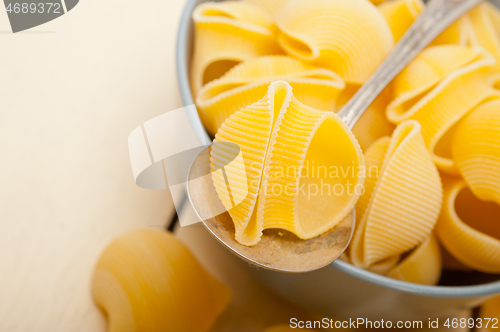 Image of Italian snail lumaconi pasta 