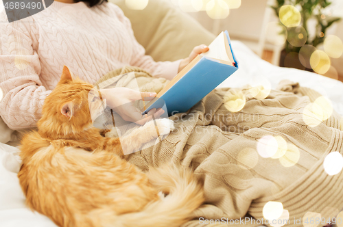 Image of red cat and female owner reading book at home