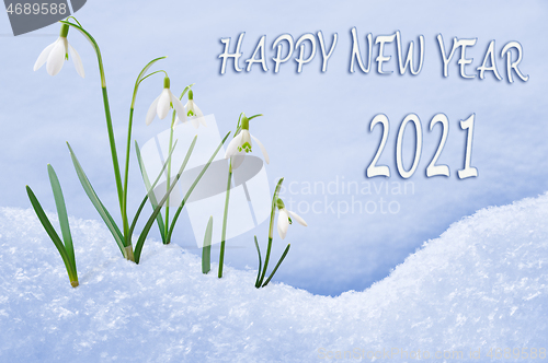 Image of New Year 2021 greeting card, group of snowdrops, Happy New Year text in English language