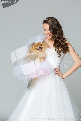 Image of beautiful bride girl with spitz bride on gray background