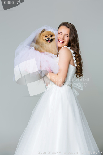 Image of beautiful bride girl with spitz bride on gray background