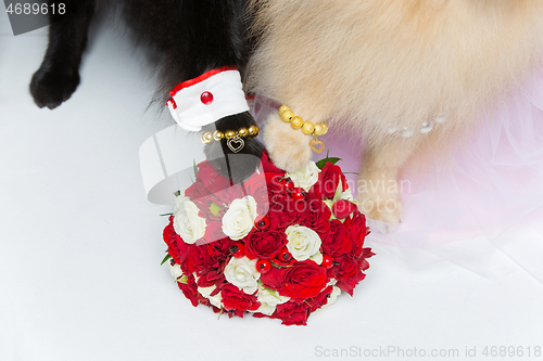 Image of dog wedding couple paws on bouquet