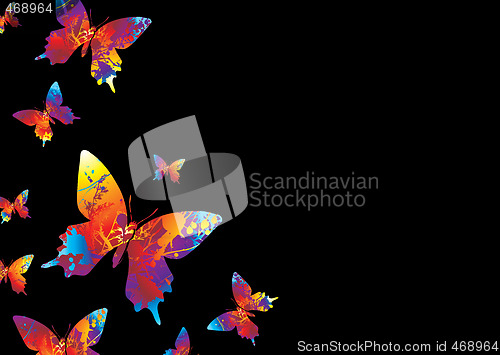 Image of bright butterfly