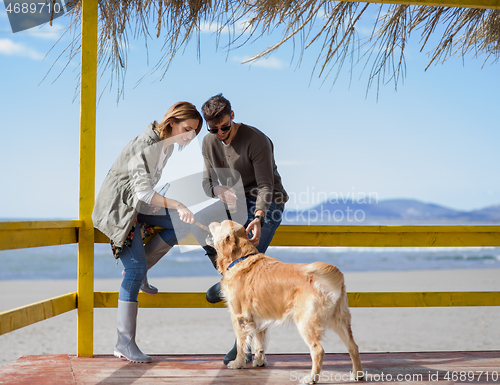Image of young couple with a dog at the beach