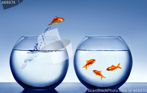 Image of goldfish jumping out of the water