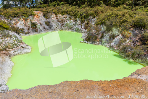 Image of geothermal activity at Rotorua in New Zealand