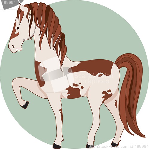 Image of Horse Pinto