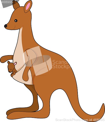 Image of Kangaroo