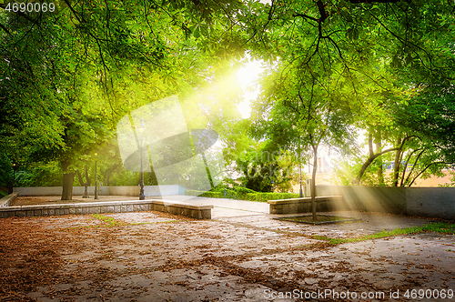 Image of Sun rays in park